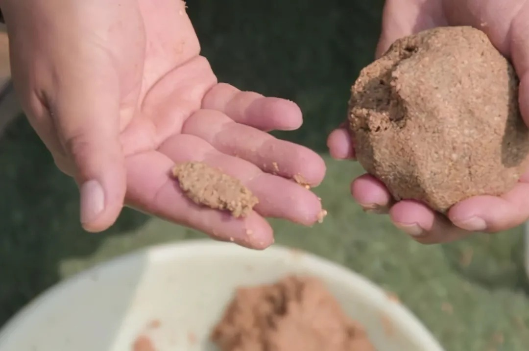 鲫鱼|大鲫鱼怎么也不上钩?那是你没用这3招,现在试用,不信你不服