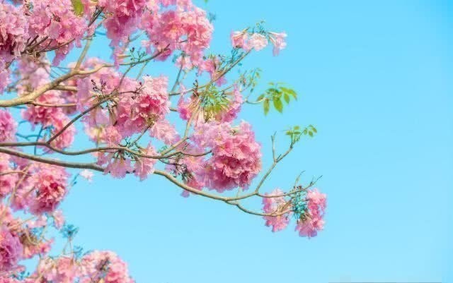 司马光&王安石把儿媳另嫁给别人,儿子知道后写下一首词,惊艳了千年文坛