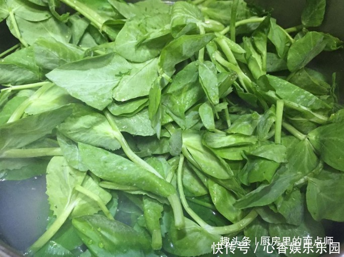 这菜7块钱一把,天然“泻药菜”,下饭可口,皮肤细腻,越吃越瘦