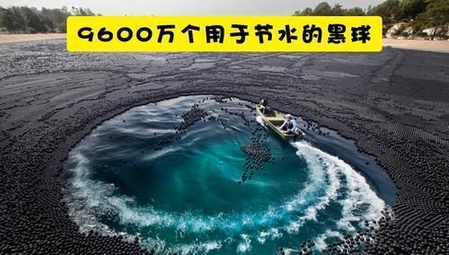 eco 人类为了拯救受伤地球所进行的13个项目