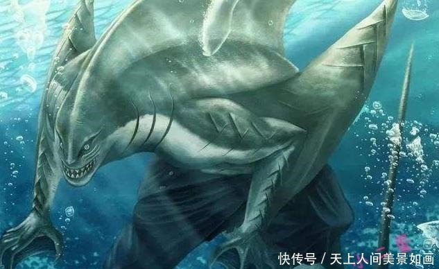火影|火影鲛肌的五任主人，四个废柴，只有他发挥了鲛肌全部的能力！
