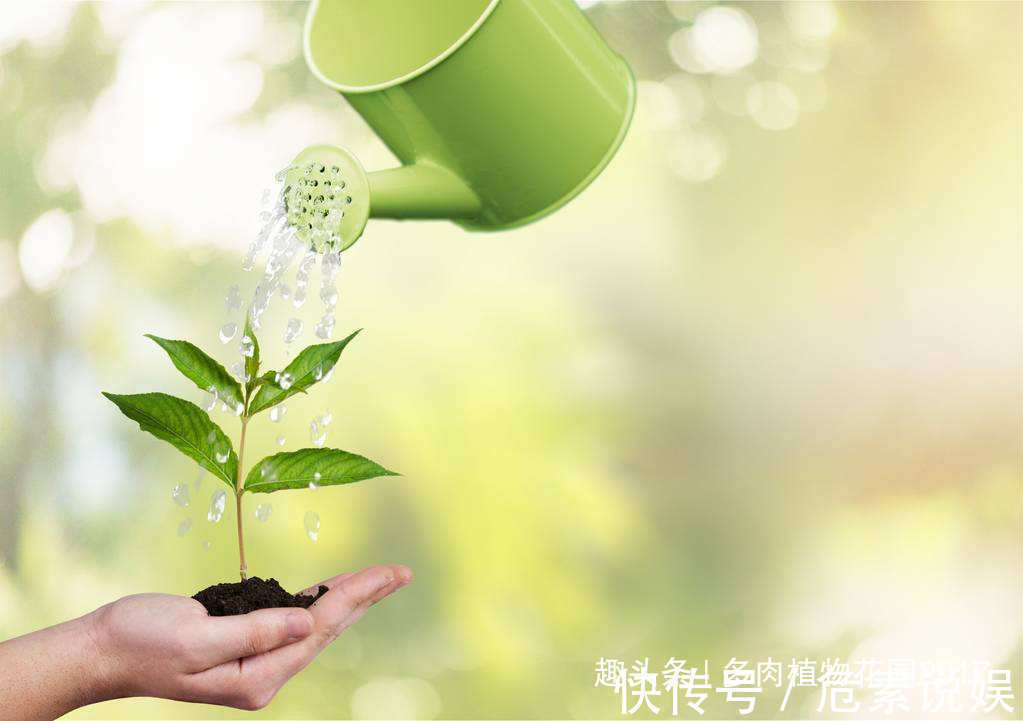 养花第一盆水，浇对了，长势更好花开更艳
