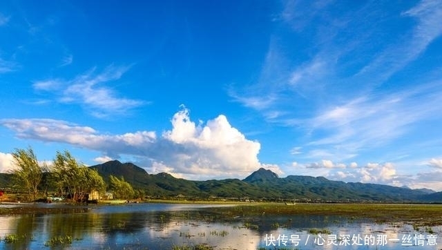 在丽江还藏着这样一片美好的湿地