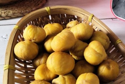 水煮板栗，冷水下锅还是热水下锅？做错了，难怪板栗不易剥还发硬