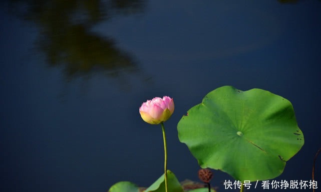 南怀瑾|南怀瑾大智慧:人这一辈子,不过是自欺欺人被人欺,说的都是人生