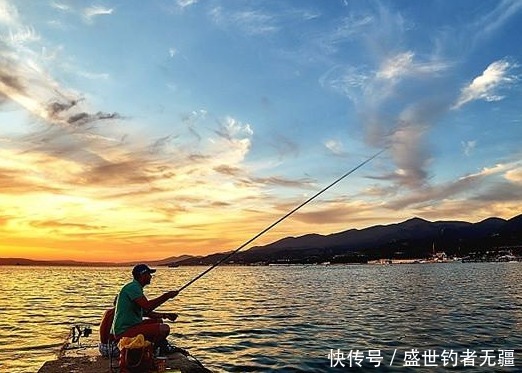 夏季钓鱼最关键之处!十年钓龄的大师都未必知——盛世三渔