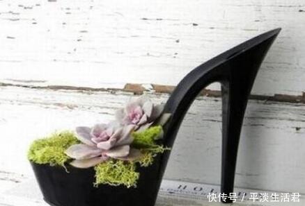 这些破烂不要扔,做成“小花盆”,个性又漂亮,比买的强“百倍”!