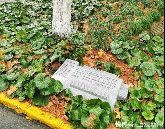 当建筑可以“360度无死角”阅读……