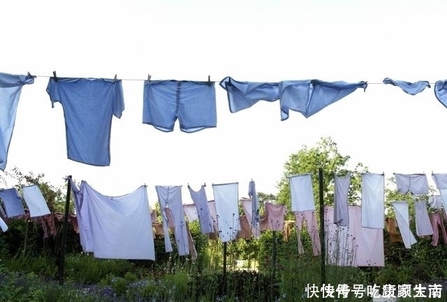 2种植物是“螨虫克星”,用来洗脸不费事,却能消灭毛孔深处螨虫