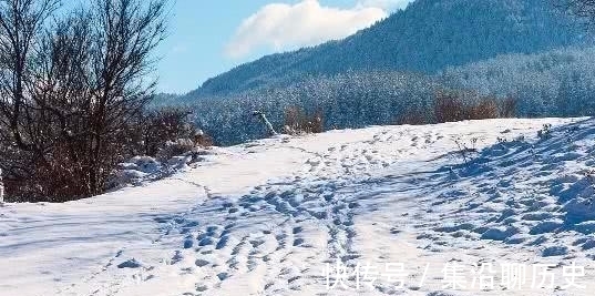 温庭筠|温庭筠见到暮春三月的雪，于是写下一首嘲笑雪的诗，却成为了名篇