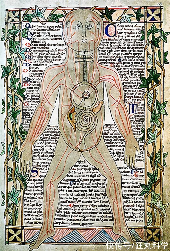 医生们|离大谱的中世纪医疗占星术，给病人放血都要根据星座找时间