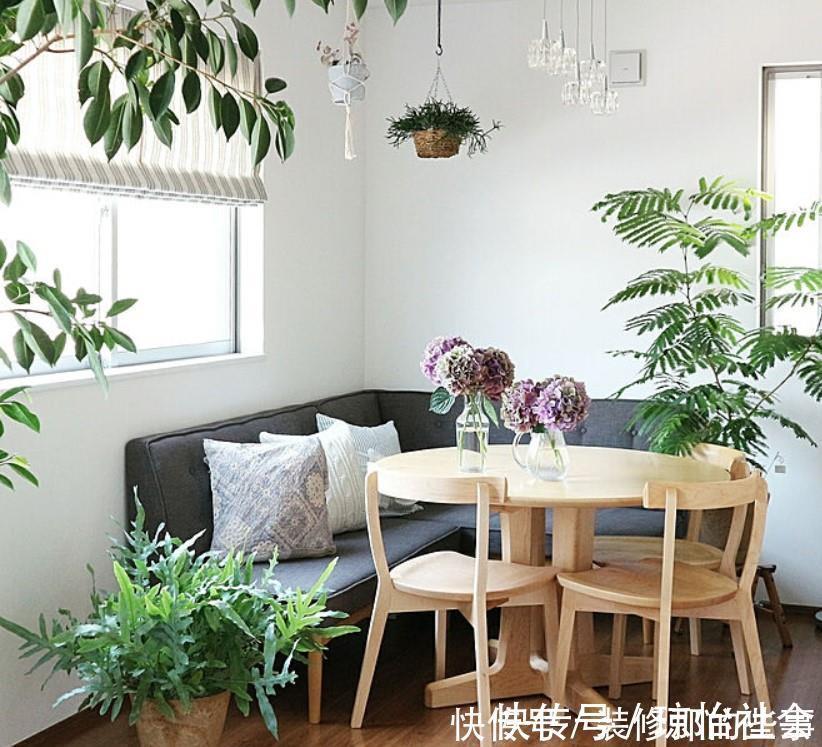 小两口之家,全屋布满绿植鲜花,把生活过成了诗,太美太治愈了