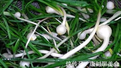 蒜炒鸡蛋|东北的小根蒜,叶子长得跟葱差不多,根茎和蒜一样,炒鸡蛋非常美味!