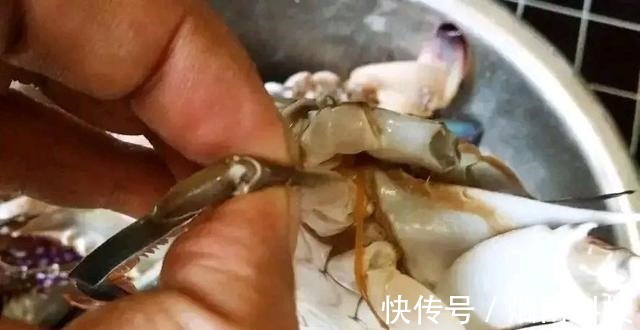蒸螃蟹,冷水蒸还是热水蒸掌握这3点螃蟹鲜甜不腥还不掉腿!