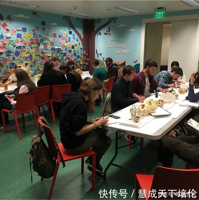 感恩|博齐奇的自然幻境异想天开的科学艺术,感恩生命的生物美学