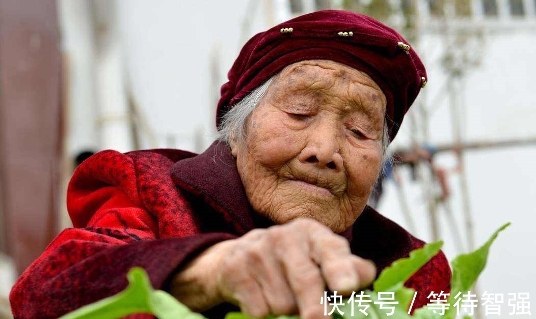 肝龄|108岁老人,肝龄只有60岁,3点长寿经验,值得借鉴