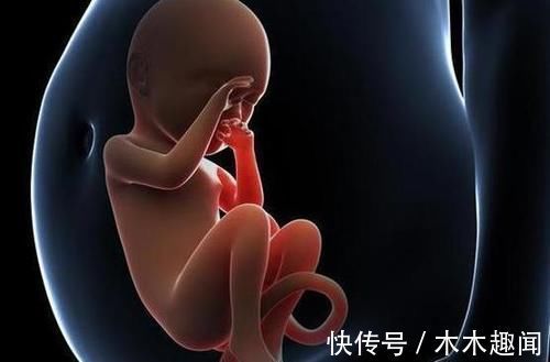 废物|那些被打掉的“胎儿”们,最后都到哪儿去了呢?