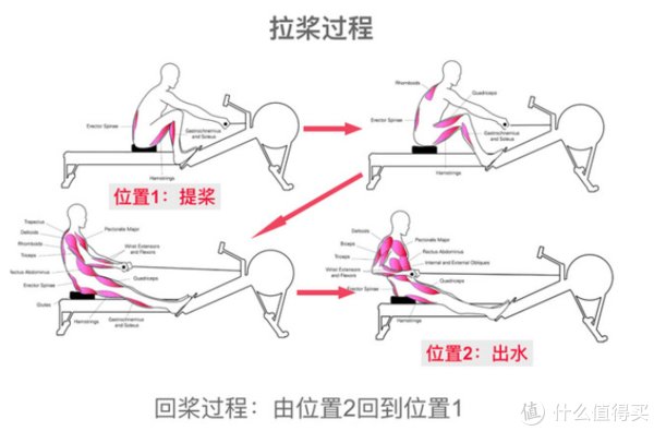 划船机|家居好物 篇一百三十:小米有品上新野小兽高颜值划船机,在家也能高效健身
