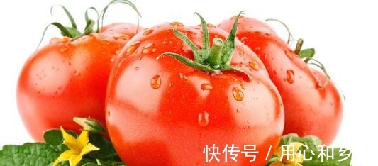 洋葱|夏天，建议多给家人吃5种碱性蔬菜，应季而食，健康度过三伏天！