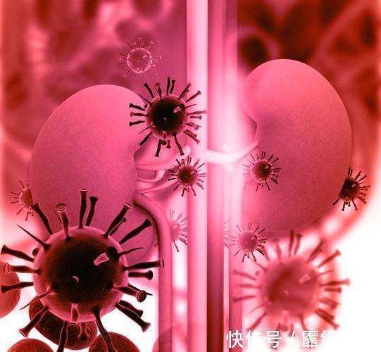 肾脏|患有肾炎不重视,会损伤到肾功能,做好这5件事,或能缓解病情