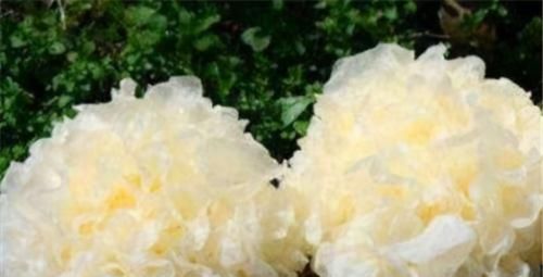 维生素c|老年人骨质疏松很常见,可该如何预防?常吃3种食物轻松达到