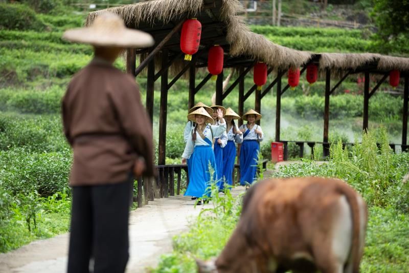 广西|广西来蓉一口气推出309项旅游优惠和六大精品暖冬旅游线路