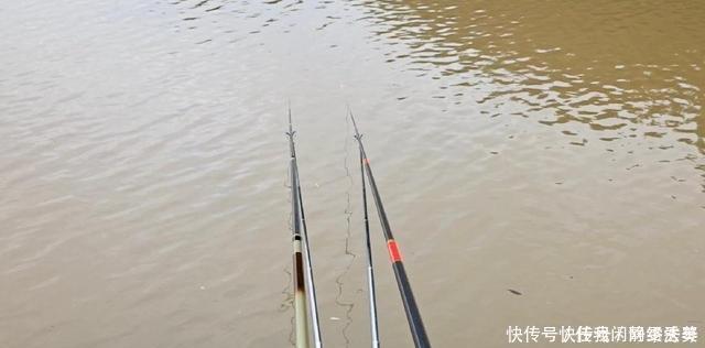 鱼苗|全国禁渔期陆续开始了,垂钓需规范,做到“该放就放,该狠就狠”