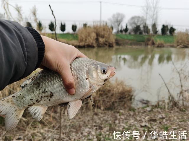 解析四种不同鱼情下蚯蚓的科学挂法，最后两种更是独创