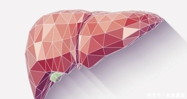 更上一层楼|枸杞加“1物”泡水喝,坚持喝7天,可能肝脏干净,肾气也补回来