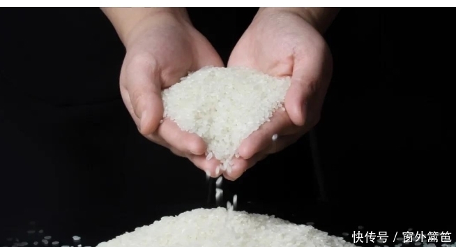 白米飯是“最差主食”,容易吃出糖尿病?教你3招,健康吃米飯