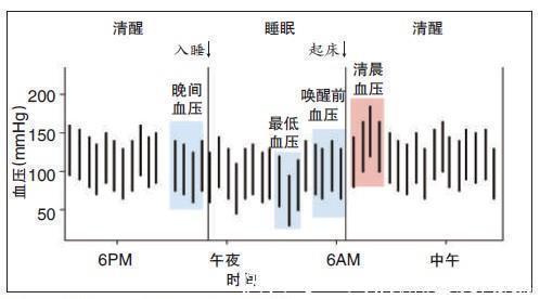 治疗学|同样的降压药,早晨吃和晚上吃,降压效果为啥不一样?高血压奥秘