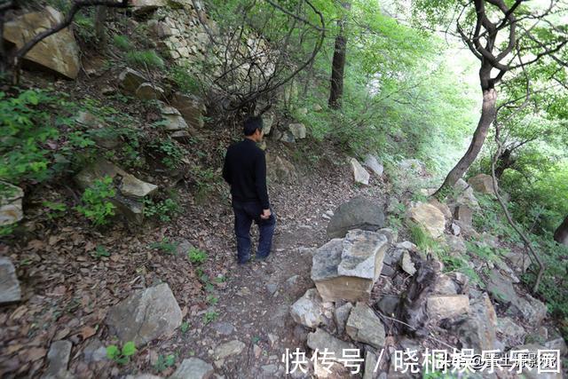 洋槐花|夫妻俩隐居深山，养7条猛犬当保镖，每年还是有牛羊被野兽吃掉