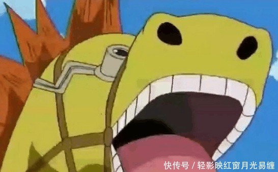 《海贼王》中那些神奇的道具, 得一个可大有作为啊