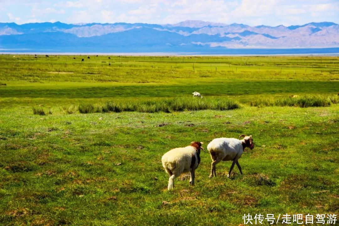 天山脚下的边陲小城，名气虽不及伊犁，但风景美如画