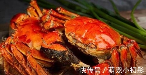 冰箱|吃不完的螃蟹,不要直接放冰箱,大厨教你一招,放7天也不会坏