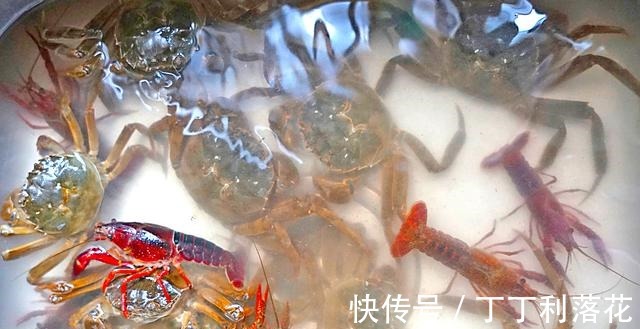 中秋节|入秋后,螃蟹这做法太实用了,不油炸不清蒸,味道鲜美还不掉蟹脚!