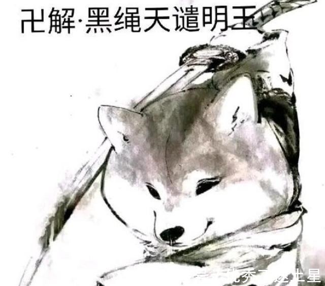 剑八斩魄刀卍解