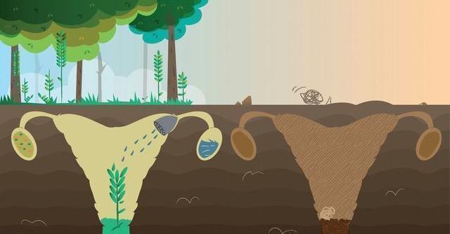 卵巢早衰|痰多鼻涕多就是湿气!避免生活中做3件事,祛湿寒改善体质