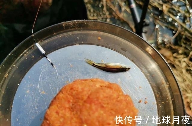 野钓屡屡空军绝非偶然,从这3个方面找原因,打破空军魔咒