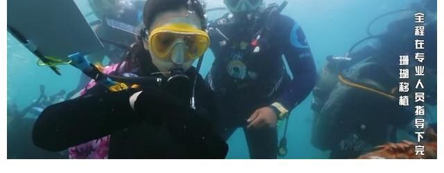 刮目相看|《奔跑吧5》迎来最美场景，嘉宾入海底种珊瑚，杨颖让人刮目相看