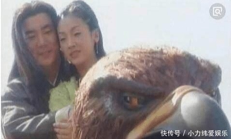 和小龙女|杨过的大雕最后去哪了?倚天中早有暗示,结局让人难以接受!