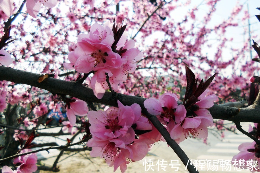 孝顺|财神爷都喜爱的四个生肖，大富大贵无病无灾，子女孝顺，晚年清闲