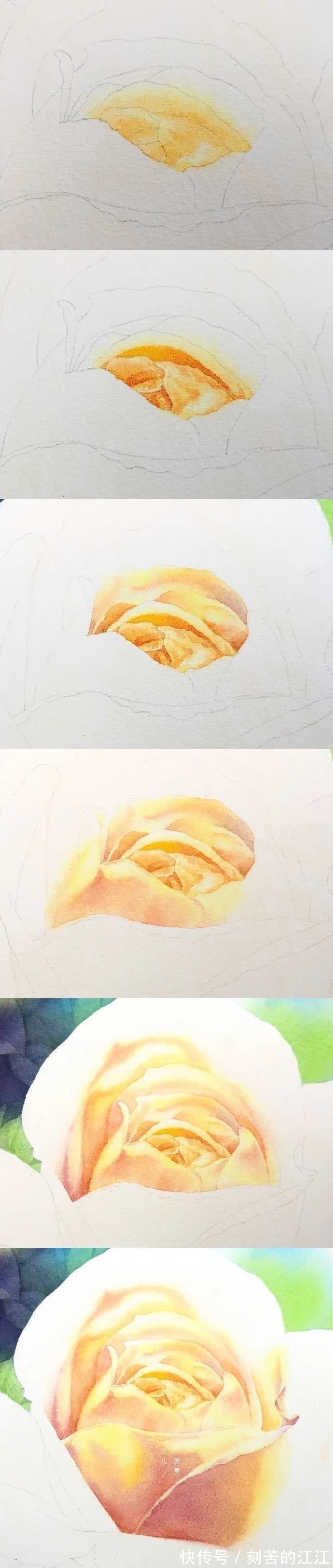 花瓣@水彩这样画,也太美了吧!居然把花瓣画出透明的感觉,看完忍不住保存!