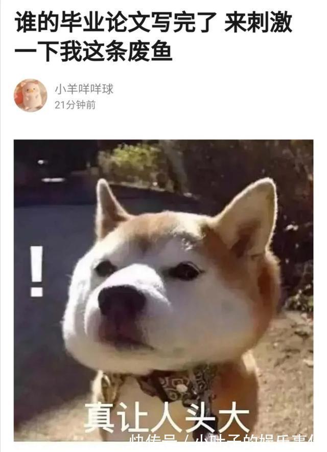 |听说想看低成本cos的漂亮小姐姐  冷段子1383 & 去年今日1073