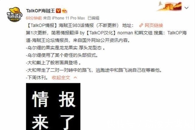 润媞果实能|《海贼王》983话情报,润媞果实能力揭晓,凯多儿子真的是阿金?