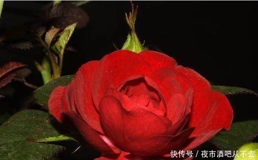 老中医|85年老中医说刷牙水里放一种东西,多年口臭去光光,一用就见效,超级管用!