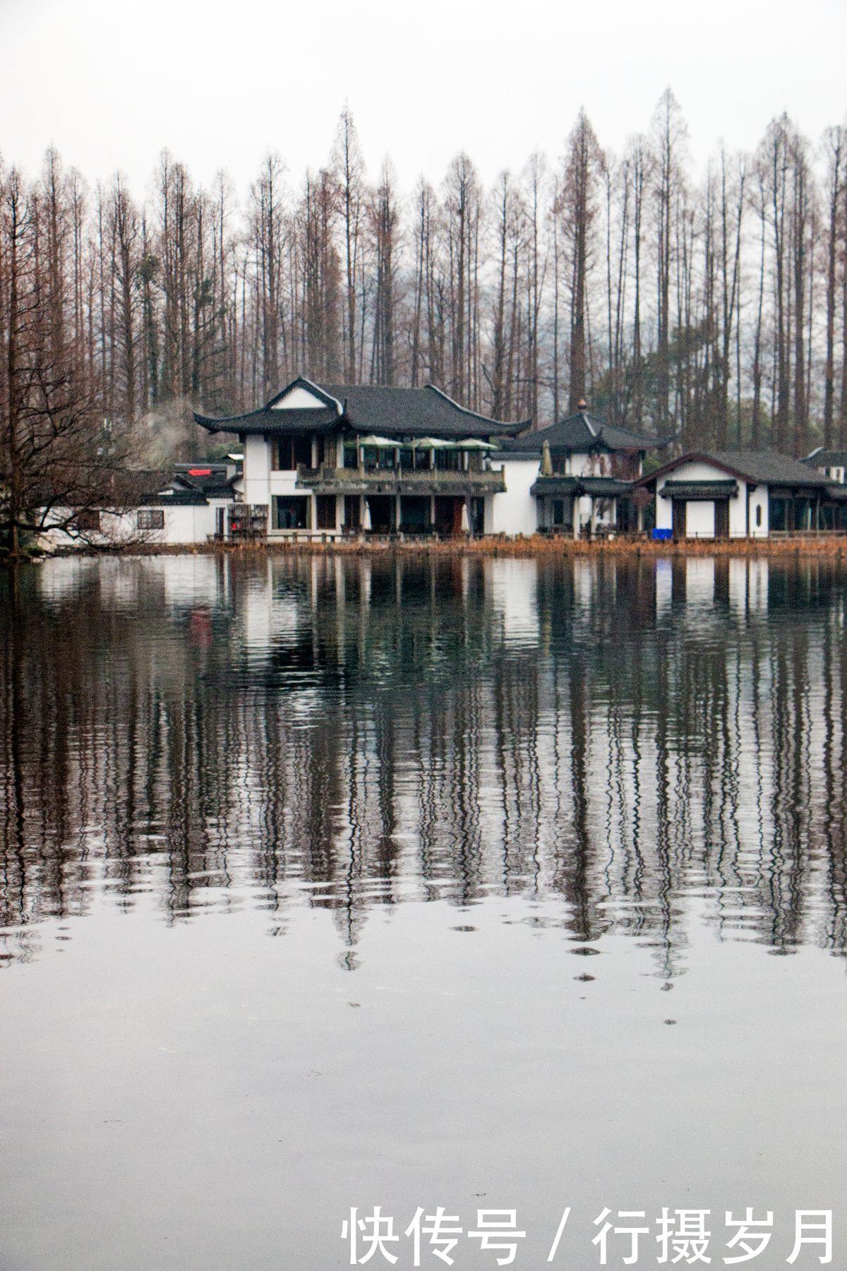 嗅出|冬至将至,谁已嗅出春天的味道