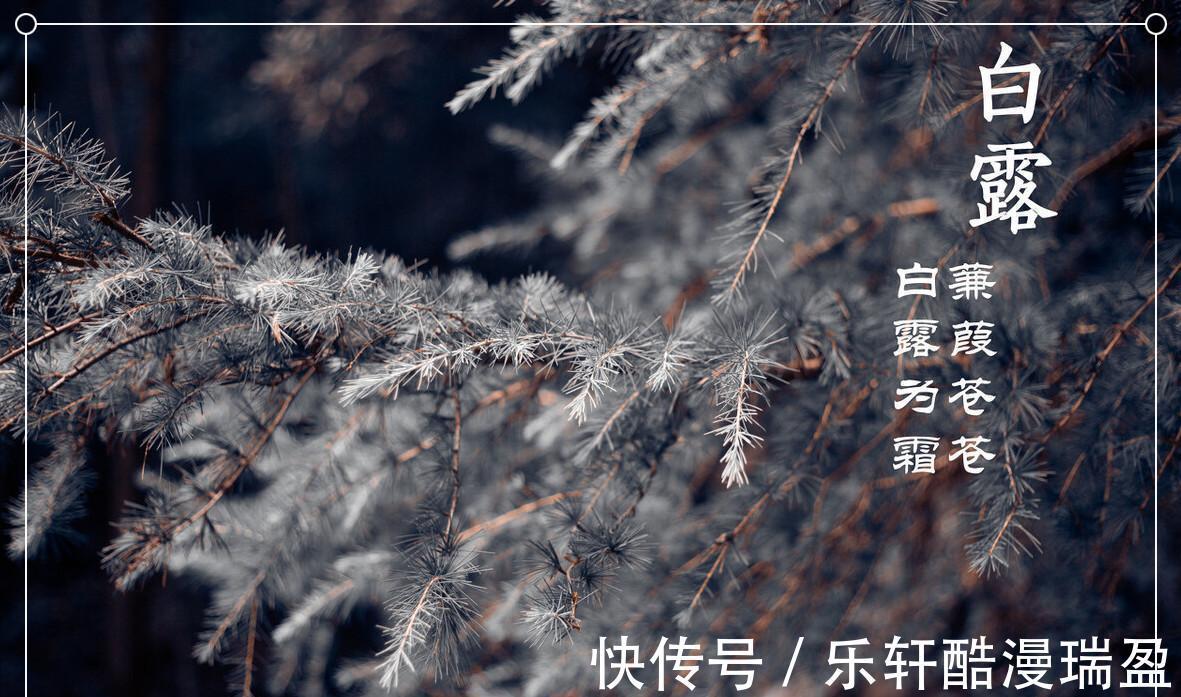 歷書|白露時節，有錢沒錢，記得多吃“5樣寶”，溫和滋補，舒坦過秋天