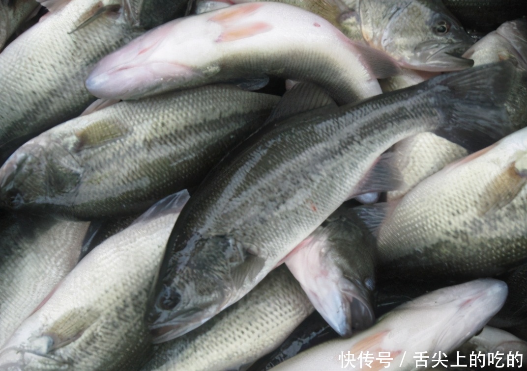 首选|鲤鱼鲫鱼比不过,这3种海鱼才是“营养首选”!老板:会吃是行家