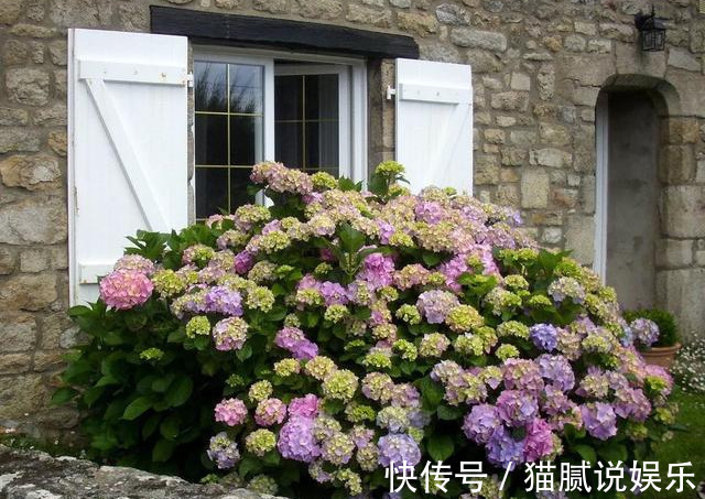 这9种花园，随便1个都美上天了，有一种这辈子就满足了！